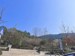-铁山坪森林公园