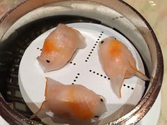 金鱼虾饺-8餐厅(新葡京酒店)