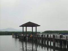 -太湖湖滨国家湿地公园-停车场