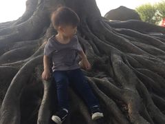 -东莞植物园