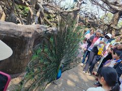 -长鹿旅游休博园
