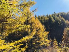 -苏木山森林公园