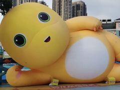 -海合安成都极地海洋公园