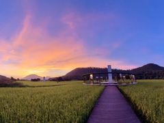 -风云岭森林公园