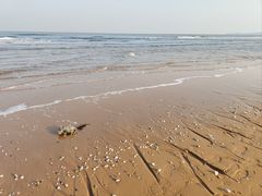 -威海国际海水浴场旅游区