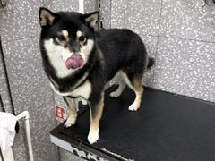 -宠物家(长阳店)