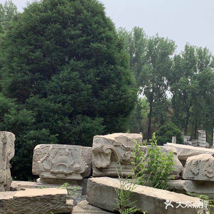 圆明圆-最美的后花园🥀🥀🥀