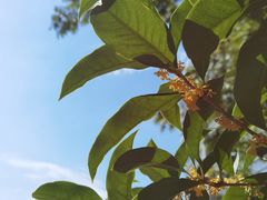 -白塘生态植物园