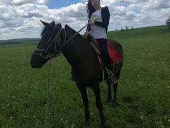 -塞罕坝国家级自然保护区