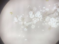 -华夏良子·足道SPA养生(上海崮山路明悦店)