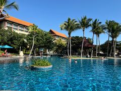 -三亚海棠湾万丽度假酒店