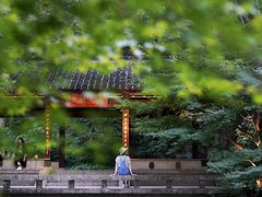 -杭州植物园