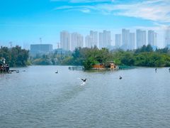 -五缘湾湿地公园