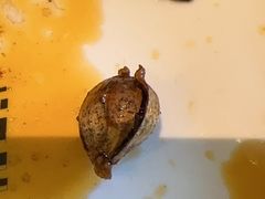 -苦尽酒馆·川菜(鼓楼店)