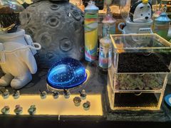 -帝企鹅自助餐厅•儿童岛•真企鹅(长隆企鹅酒店)