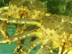 -明珠海港大酒店