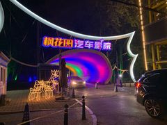 -枫花园汽车电影院(朝阳公园店)