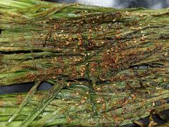 -许哥东北烧烤·铁丳烤串·宫后夹肉(繁花中心店)