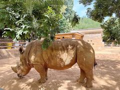 -昆明动物园