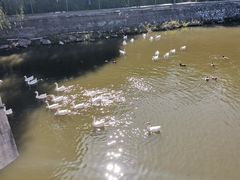 -北京张裕爱斐堡酒庄