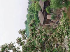 -五凤溪古镇