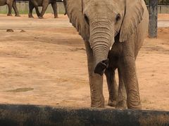-鄂尔多斯野生动物园
