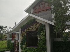 -王借岗森林公园