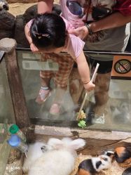 -造物庄园 萌宠纪(苏州湾歌林公园店)