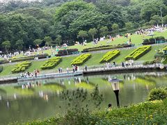 -东莞植物园