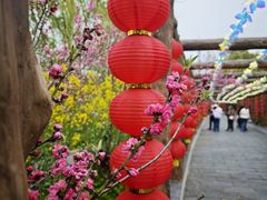 -南汇桃花村