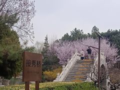 -团结湖公园