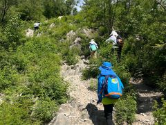 -阳台山自然风景区