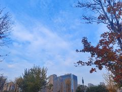 -唐城墙遗址公园