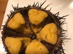 -海胆小馆(东北水饺·春柳店)