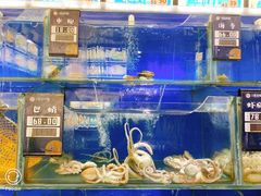 水产区-小船渔村•大连菜•大连焖鱼(明泽街店)