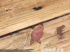 烈火牛肉-盟重烧烤(高正街店)