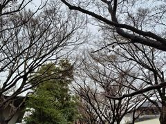-宇治市源氏物语博物馆
