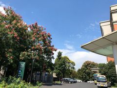-复旦大学附属华山医院(浦东院区)