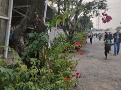 -长洲岛都市农业公园