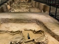 -洛阳周王城天子驾六博物馆