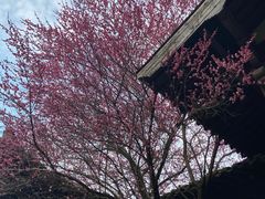 -梦姑塘文化公园