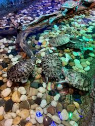 -酷嗒动物文化乐园(cutezoo西溪乐天城店)