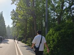 -日照海滨国家森林公园