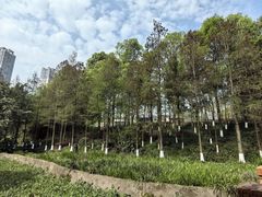 -重庆彩云湖湿地公园