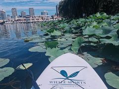 -WhaleSports户外水上运动俱乐部(朝阳公园店)