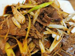 -清真马杰山牛肉汤馆