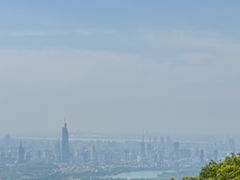 -紫金山山顶公园