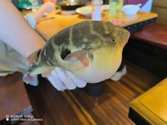 -永安鱼庄·镇江菜(丁卯店)