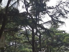 -贮水山儿童公园