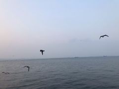 -子霖南山鲜虾面(南山总店)